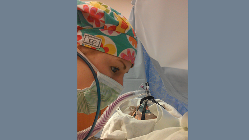 Clinical anesthesia education